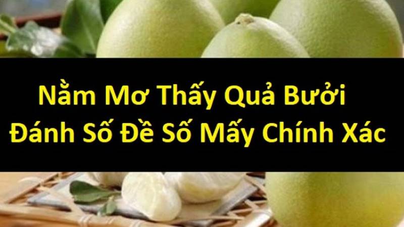 Chiêm bao thấy bưởi thì đánh con gì may mắn?