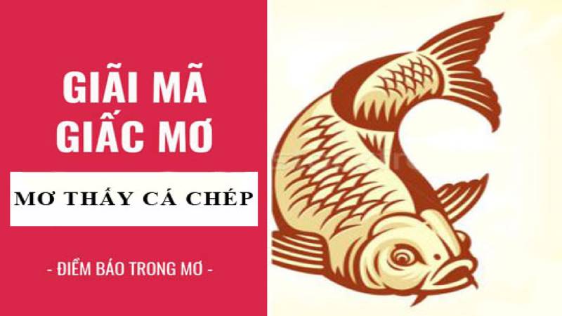 Mơ thấy cá chép thì nên đánh con nào?