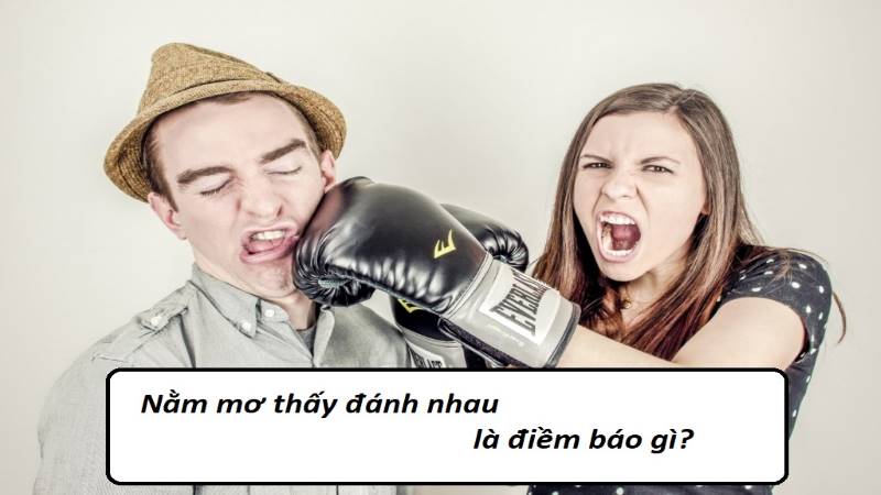 Mộng thấy đánh nhau thì nên quất con đề gì?